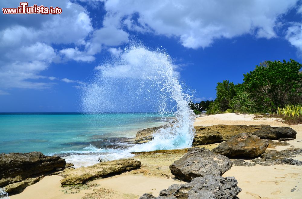 Immagine La spiaggia di Frederiksted a Saint Croix, Isole Vergini Americane.