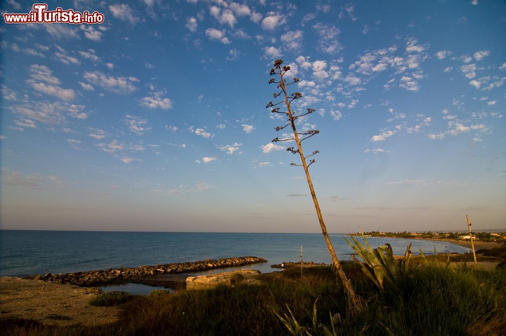 Immagine La spiaggia di Ispica all'alba in Sicilia