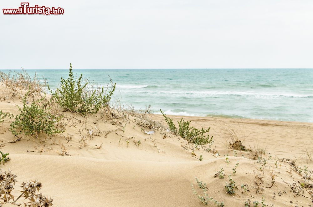 Immagine La spiaggia di Manfria nel comune di Gela, Sicilia del sud