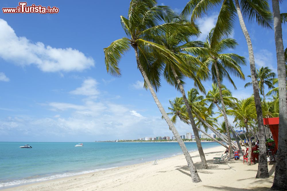 Immagine La spiaggia di Pajucara nella città di Maceiò, Alagoas, Brasile. Palme e palazzi sullo sfondo per questo tratto di litorale brasiliano.