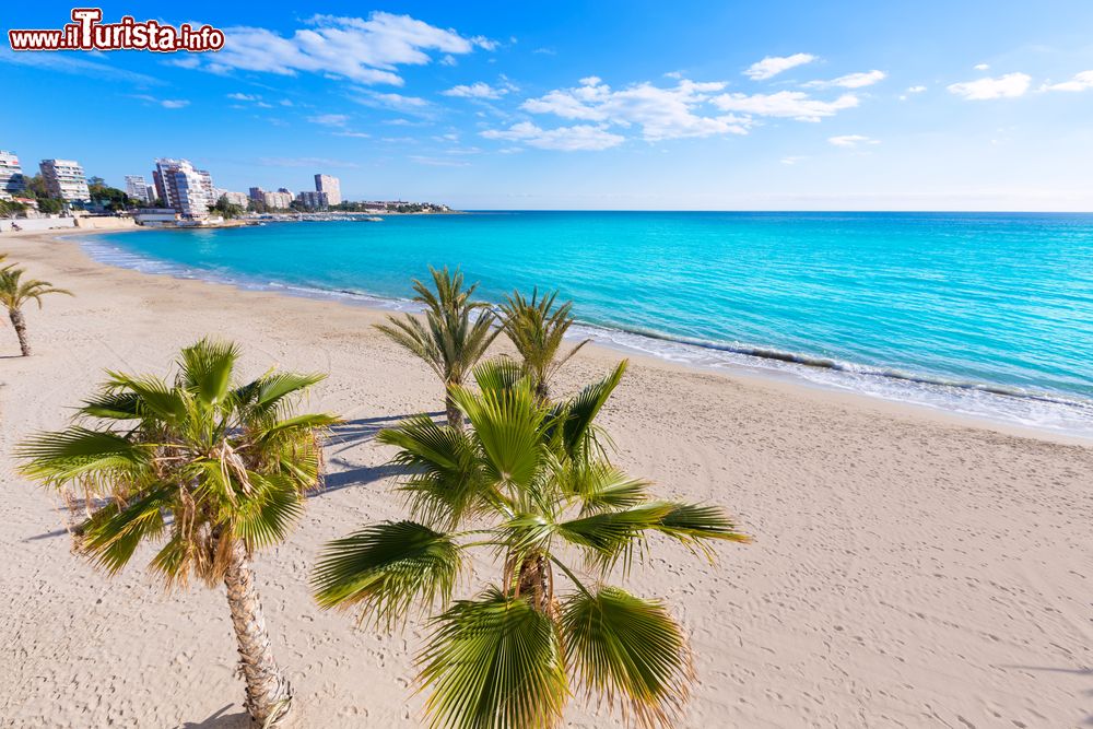 Immagine La spiaggia di San Juan di La Albufereta a Alicante, Spagna. Situato circa 6 km a nord-est della città, è uno dei più bei tratti di litorale della città.