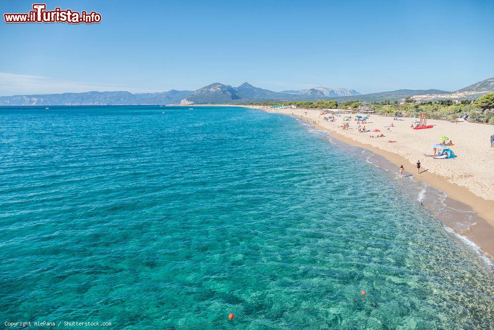 Immagine La spiaggia e il mare limpido di Cala Gonone in Sardegna - © AlePana / Shutterstock.com