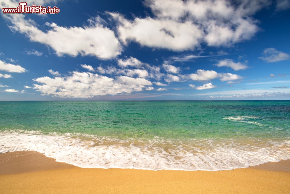 Immagine La spiaggia e il mare limpido di Pistis in Sardegna