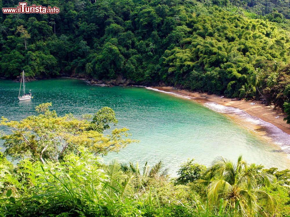 Immagine La spiaggia isolata di Englishman's Bay sulla costa dell'isola di Tobago, Caraibi. La sabbia ha la caratteristica forma a mezzaluna con due promontori boscosi.