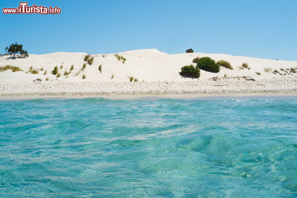 Immagine La spiaggia Le dune a Porto Pino in Sardegna