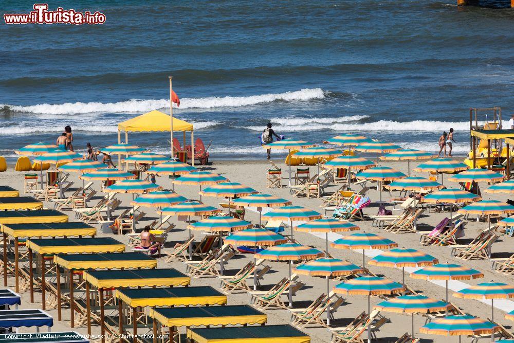 Immagine La spiaggia toscana di Marina di Pietrasanta con ombrelloni e sdraio: sullo sfondo, il mare con qualche onda - © Vladimir Korostyshevskiy / Shutterstock.com