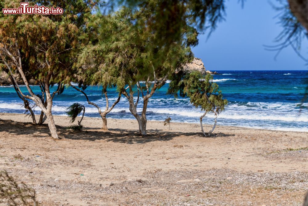 Immagine La splendida natura di Antiparos, Grecia: siamo nella periferia dell'Egeo Meridionale.