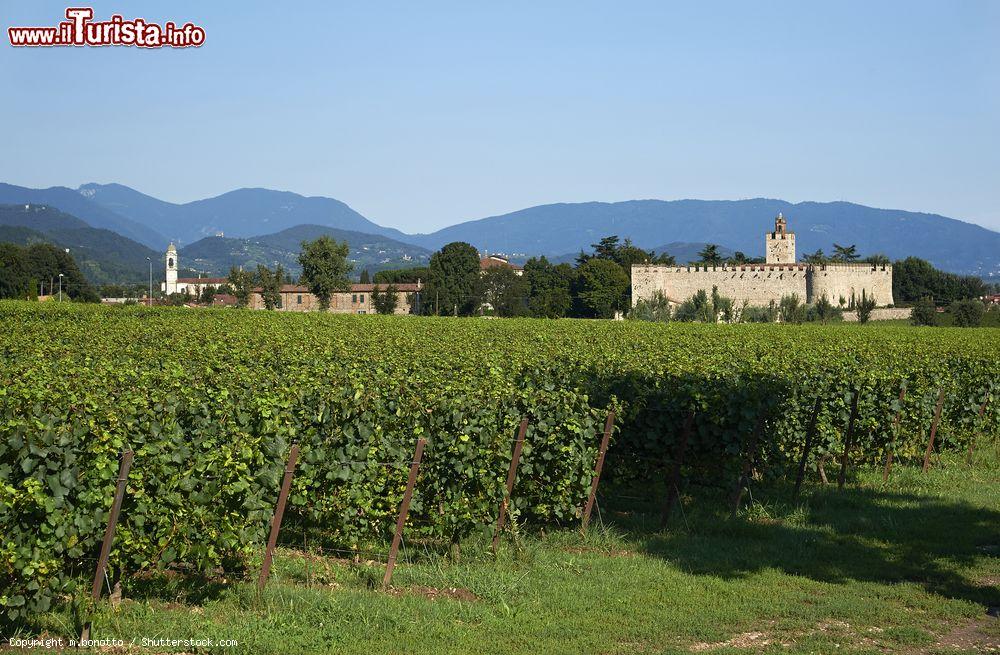 Immagine La strada del VIno della Franciacorta: Passirano e il suo Castello - © m.bonotto / Shutterstock.com