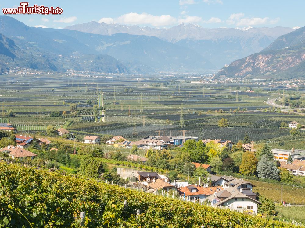 Immagine La Strada del Vino in Alto Adige