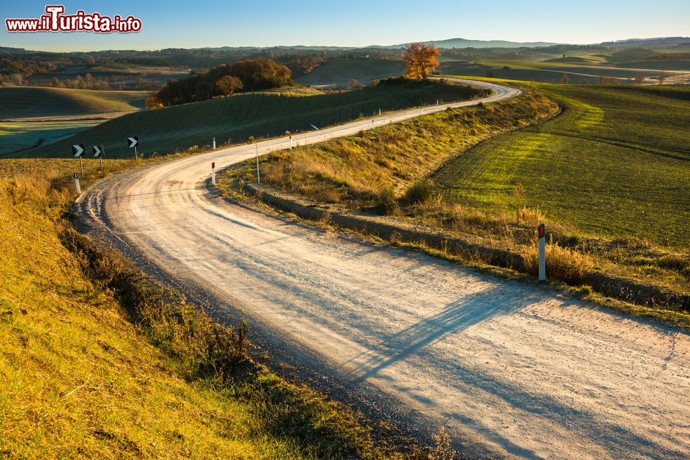 Immagine La strada spettacolare che collega Castelnuovo Berardenga con Montaperti nel magico paesaggio della Toscana