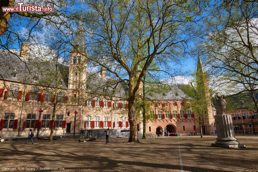 Immagine La suggestiva abbazia di Nostra Signora a Middelburg, Olanda - © PLOO Galary / Shutterstock.com