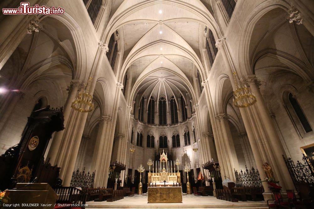 Immagine La suggestiva navata della cattedrale di San Pietro a Montpellier, Francia, con le alte colonne e i soffitti a volta - © BOULENGER Xavier / Shutterstock.com