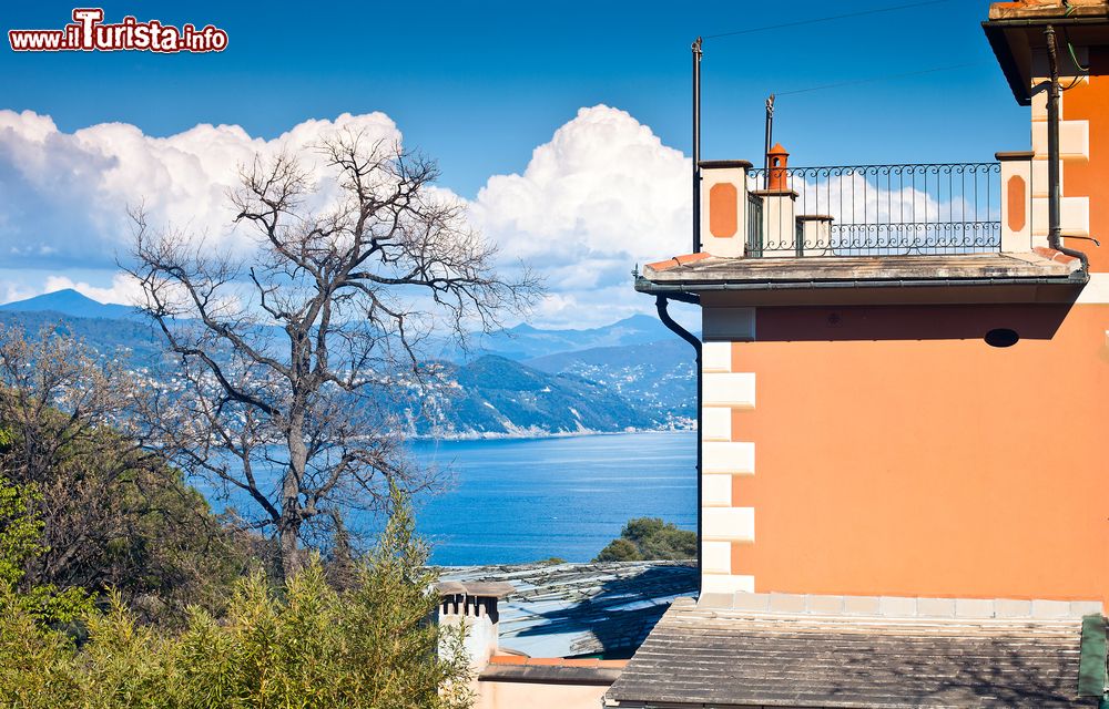 Immagine La terrazza di una casa a Zoagli (Genova) affacciata sul mare Ligure.