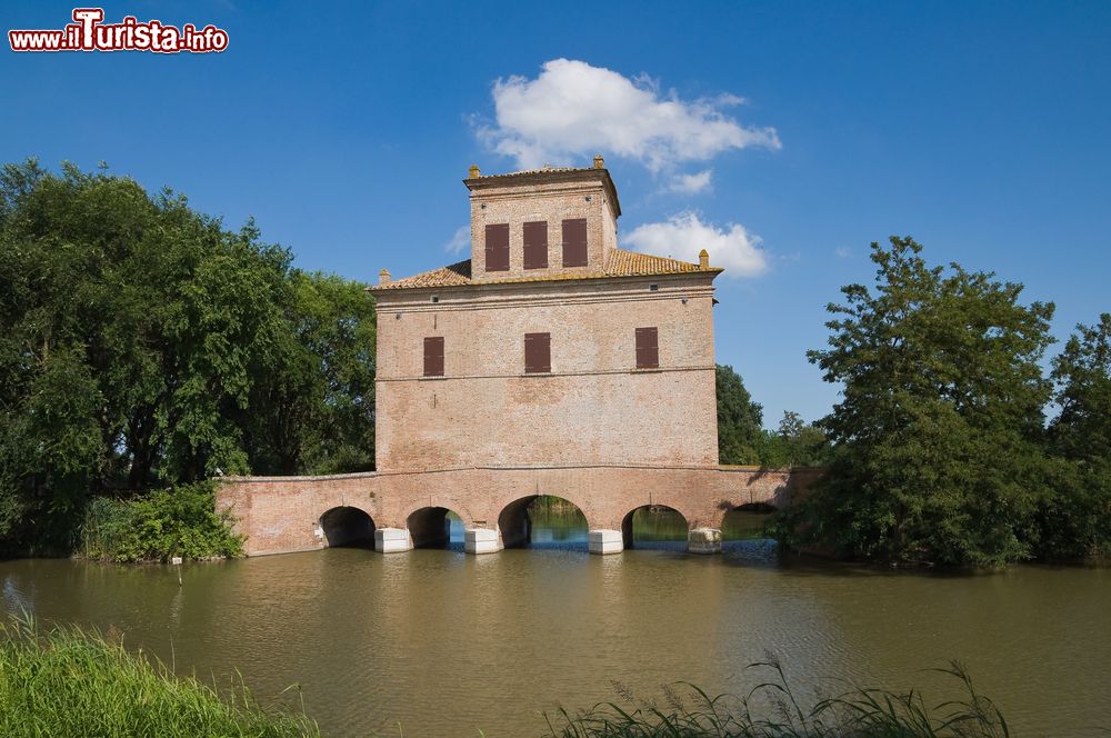 Immagine La Torre Abate a Mesola in Emilia-Romagna.