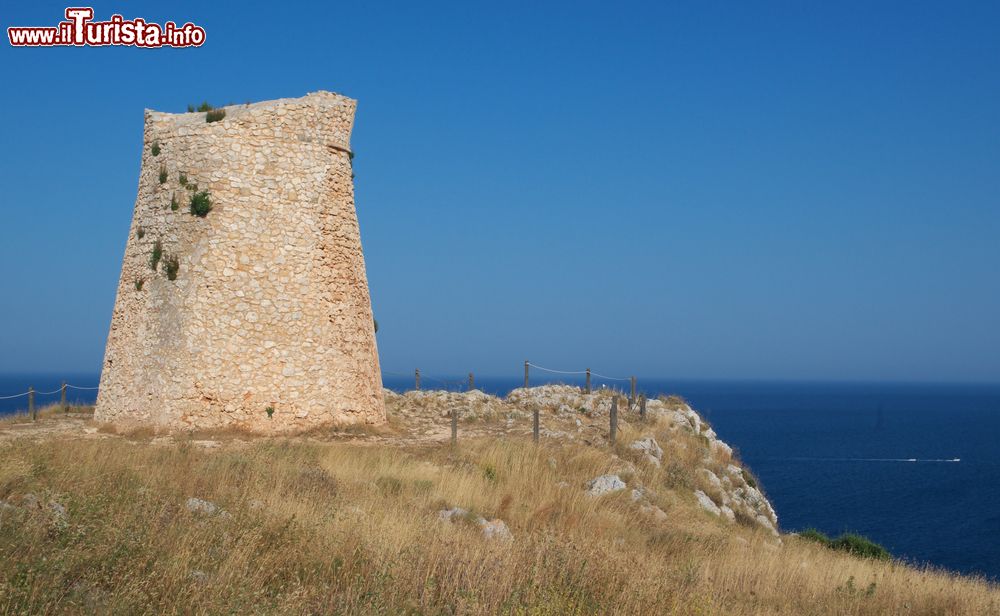 Immagine la torre d'avvistamento di Torre Minervino, a Santa Cesarea Terme in Salento (Puglia)