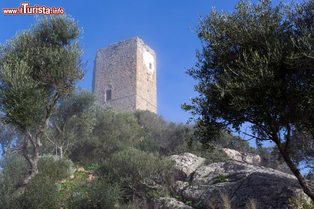Immagine La torre di Casteldoria in Sardegna