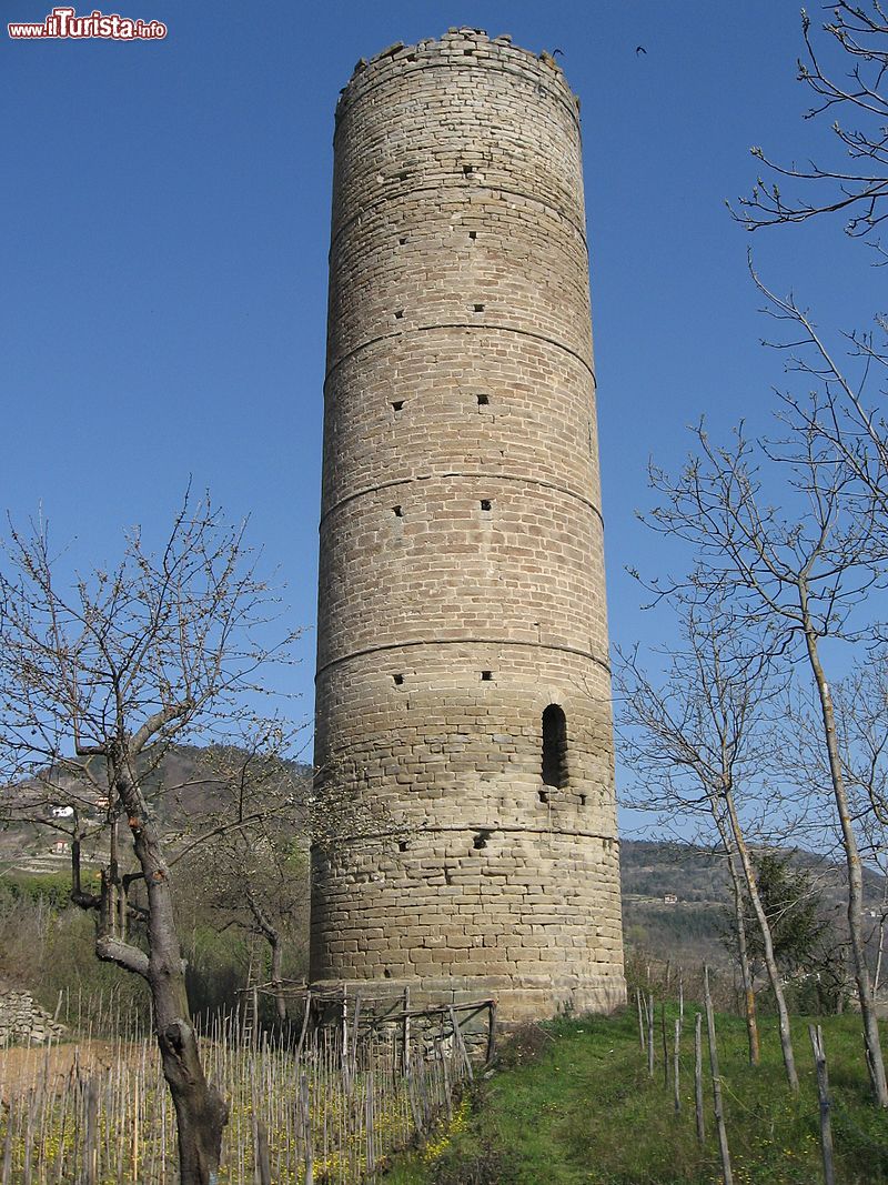 Immagine La torre di Cortemilia in Piemonte Di Giovandeste di Wikipedia in italiano, CC BY-SA 3.0, Collegamento