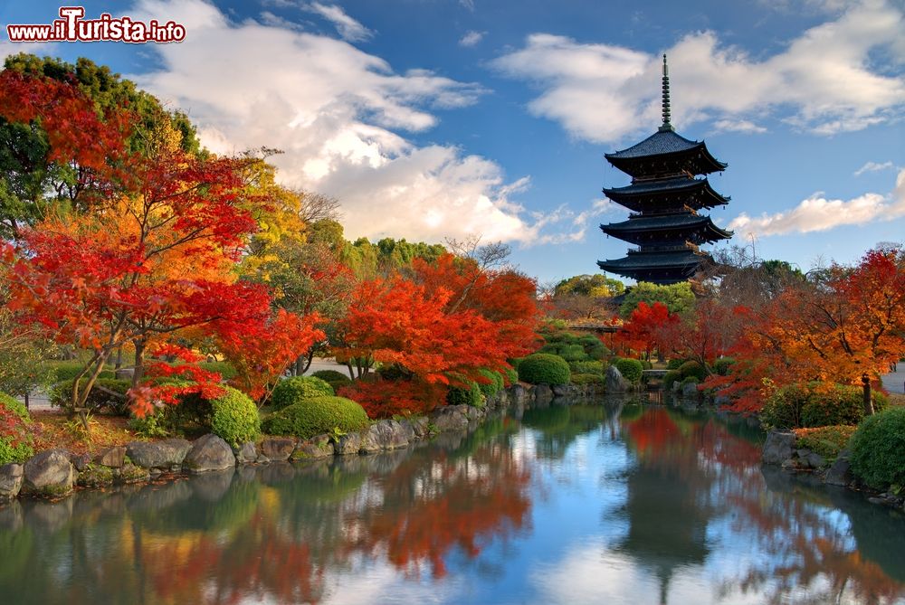 Immagine La torre di legno del tempio To-ji a Nara in autunno, Giappone. Si tratta della più grande pagoda del paese per via della sua altezza che sfiora i 55 metri.