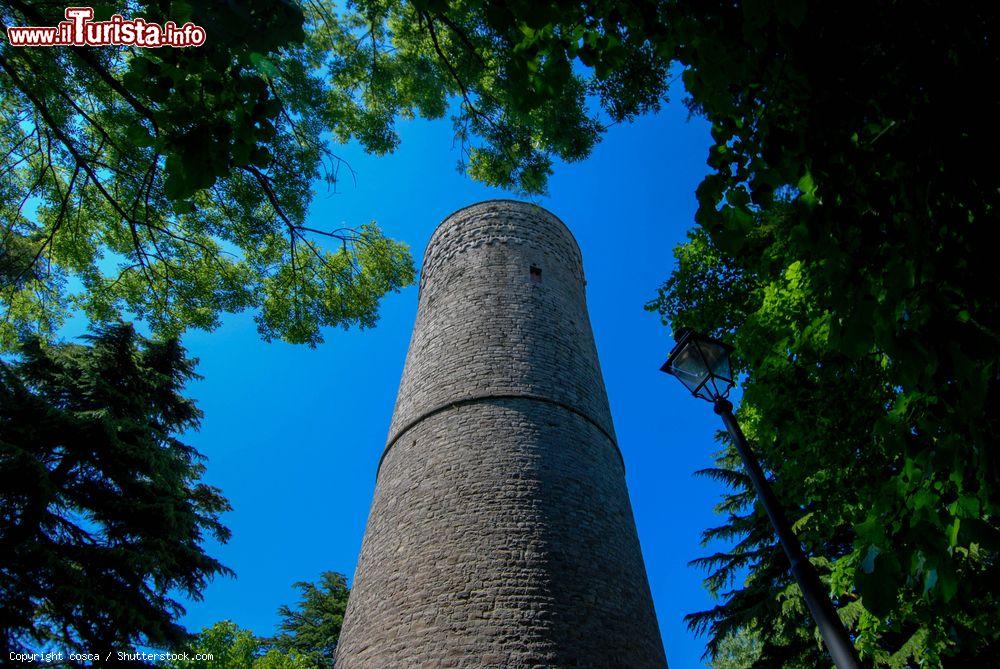 Immagine La Torre di Roccaverano in Piemonte - © cosca / Shutterstock.com