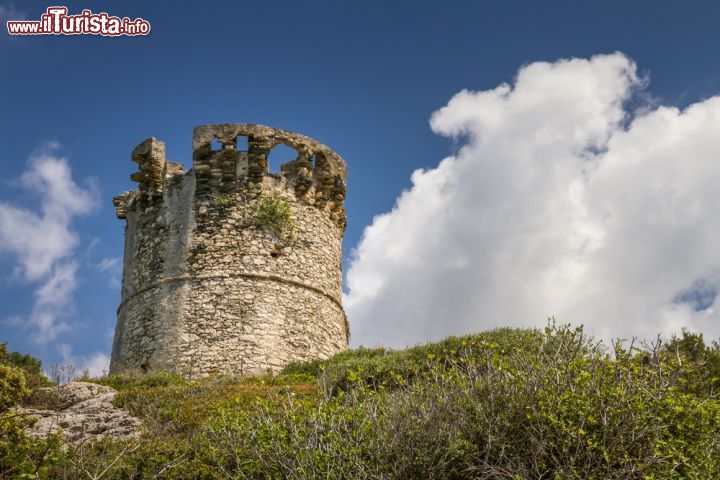 Immagine La torre genovese di Farinole su rilievi del Cap Corse in Corsica