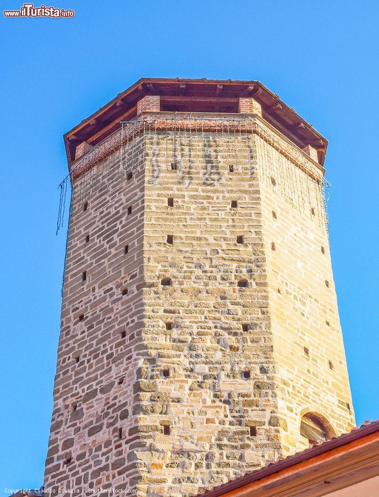 Immagine La Torre ottagonale del Castello di Chivasso in Piemonte - © Claudio Divizia / Shutterstock.com