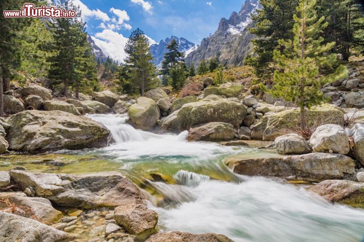 Immagine Le meraviglie della natura sul corso della Restonica, in Corsica - la Valle della Restonica è considerata una delle meraviglie della Corsica, oltre che Gran Sito Nazionale a partire dal 1985. Si tratta di quattordici chilometri di montagne altissime, gole nascoste, foreste di pini e larici e piscine naturali dall'acqua cristallina, venute a crearsi da questo fiume dai colori iridescenti, in cui, in alcuni punti, è anche possibile fare il bagno. - © Jon Ingall / Shutterstock.com