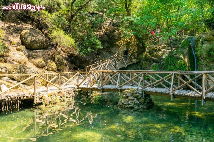 Immagine La Valle delle Farfalle (Peta Loudhes) a Rodi - © ian woolcock / Shutterstock.com