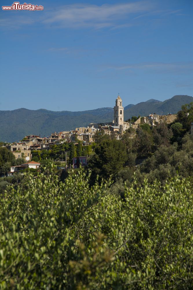 Immagine La vecchia città di Bussana, Sanremo, Liguria. Il territorio su cui sorge è circondato da macchia mediterranea, castagneti e pini marittimi.