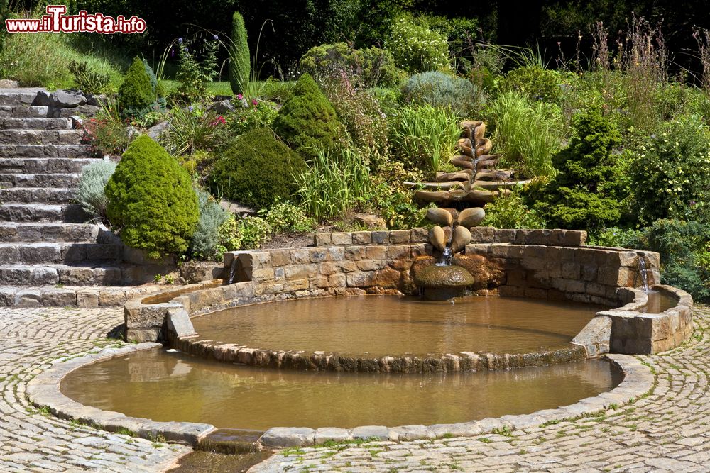 Immagine La Vesica Pool nei giardini Chalice Well Gardens a Glastonbury.