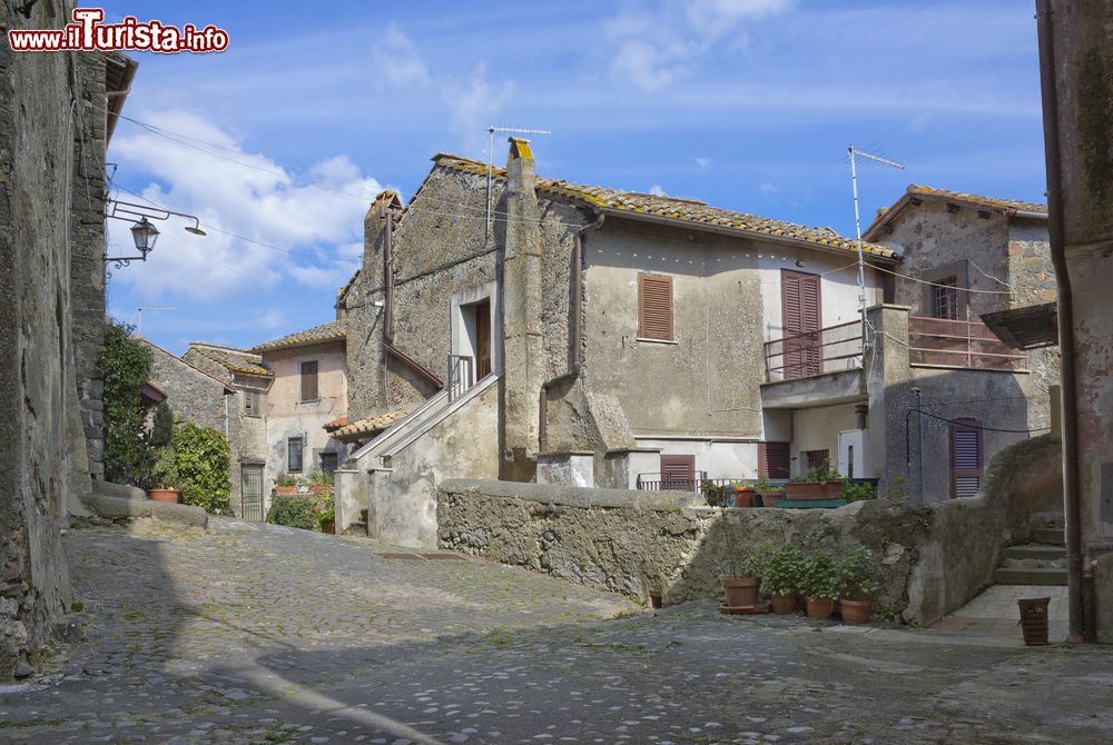 Immagine La visita al borgo di Bracciano nel Lazio