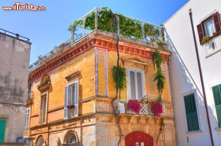 Immagine La visita al centro di Conversano in Puglia - © Mi.Ti. / Shutterstock.com