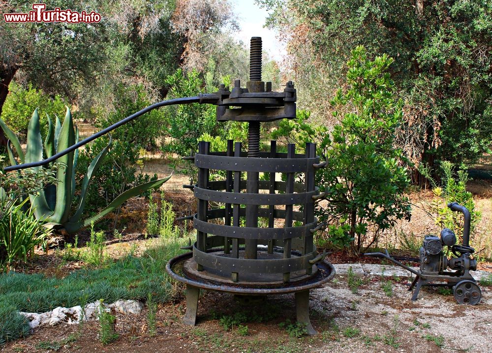 Immagine La visita  all'Orto Botanico "La Cultura" di Giuggianello in Puglia