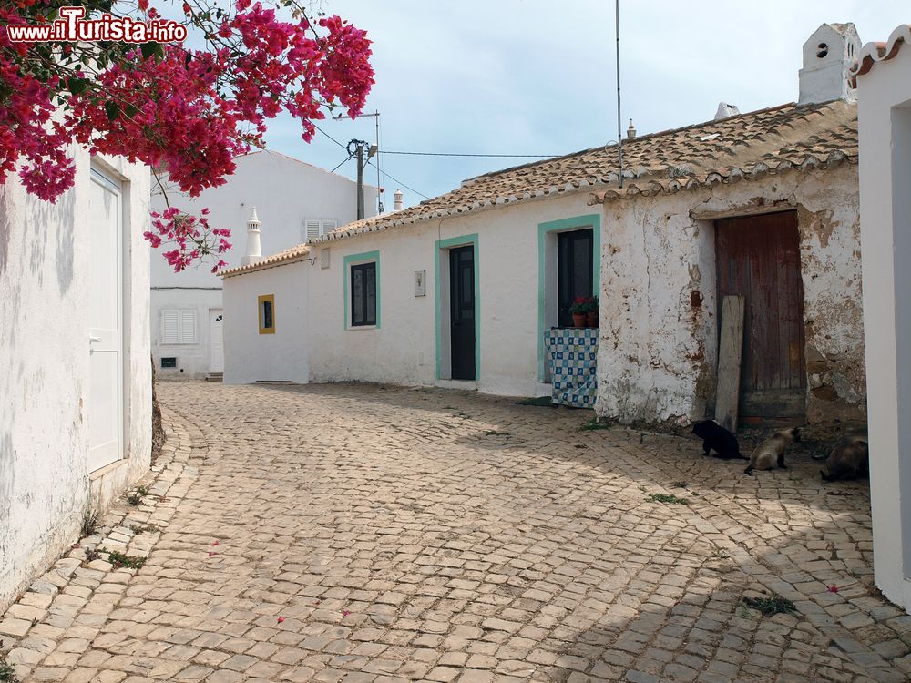 Immagine La visita al villaggio di Vila do Bispo in Algarve, sud del Portogallo