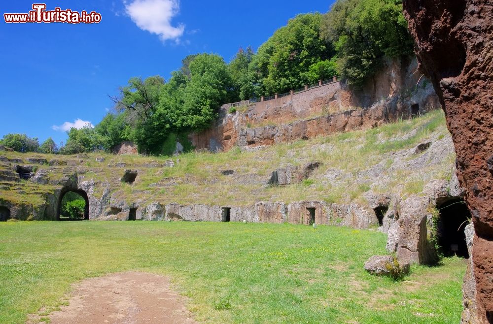 Immagine La visita all'anfiteatro romano di Sutri nel Lazio