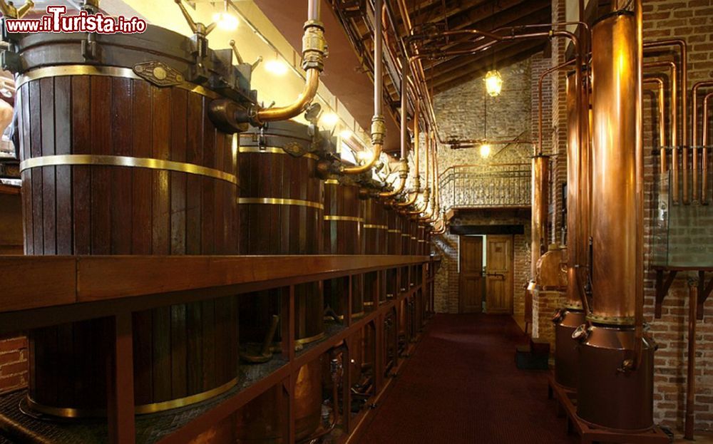 Immagine La visita alle Distillerie Poli di Schiavon in Veneto