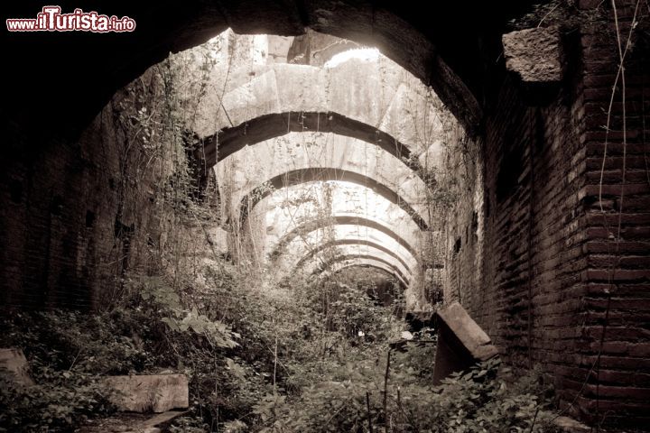 Immagine Uno scorcio suggestivo di archi, fotografati durante la visita all'anfiteatro romano di Santa Maria Capuavetre - © Gabriela Insuratelu / Shutterstock.com