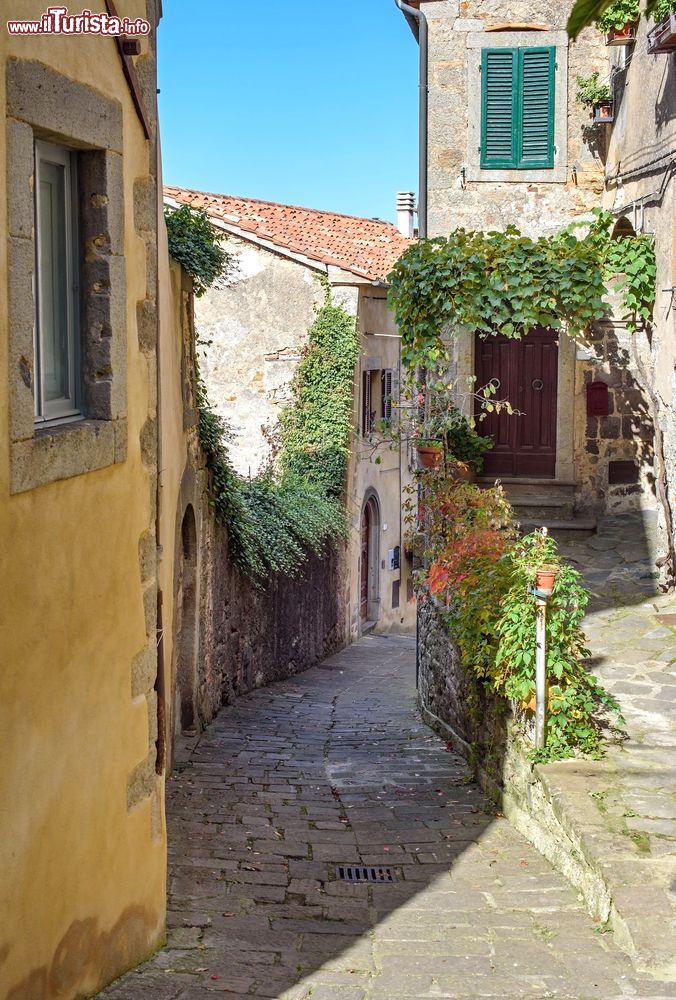 Immagine La visita del borgo di Arcidosso in Toscana