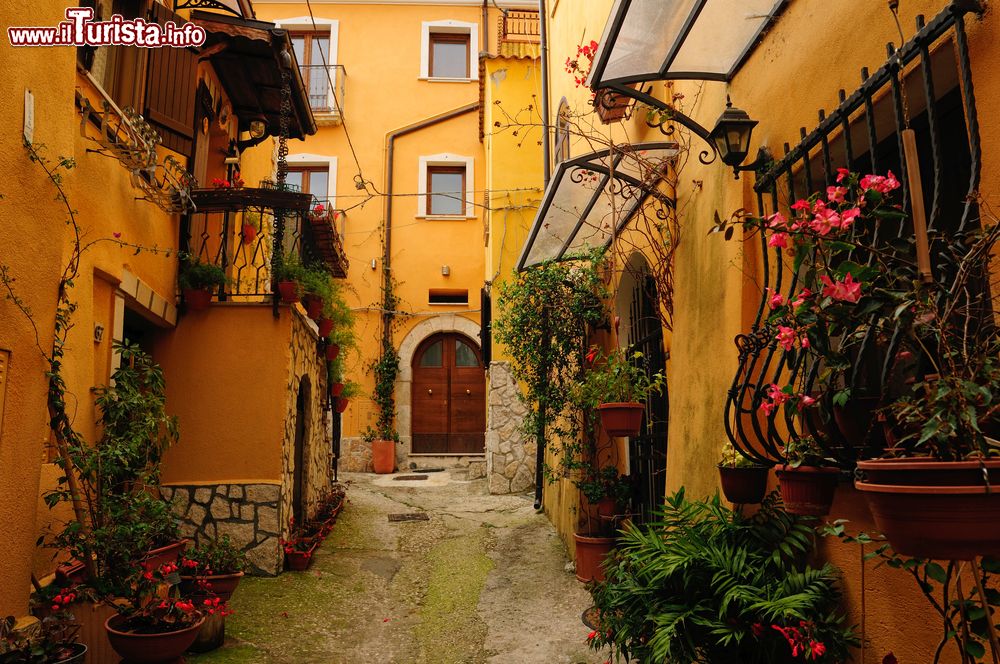 Immagine la visita del centro storico di Venafro in Molise