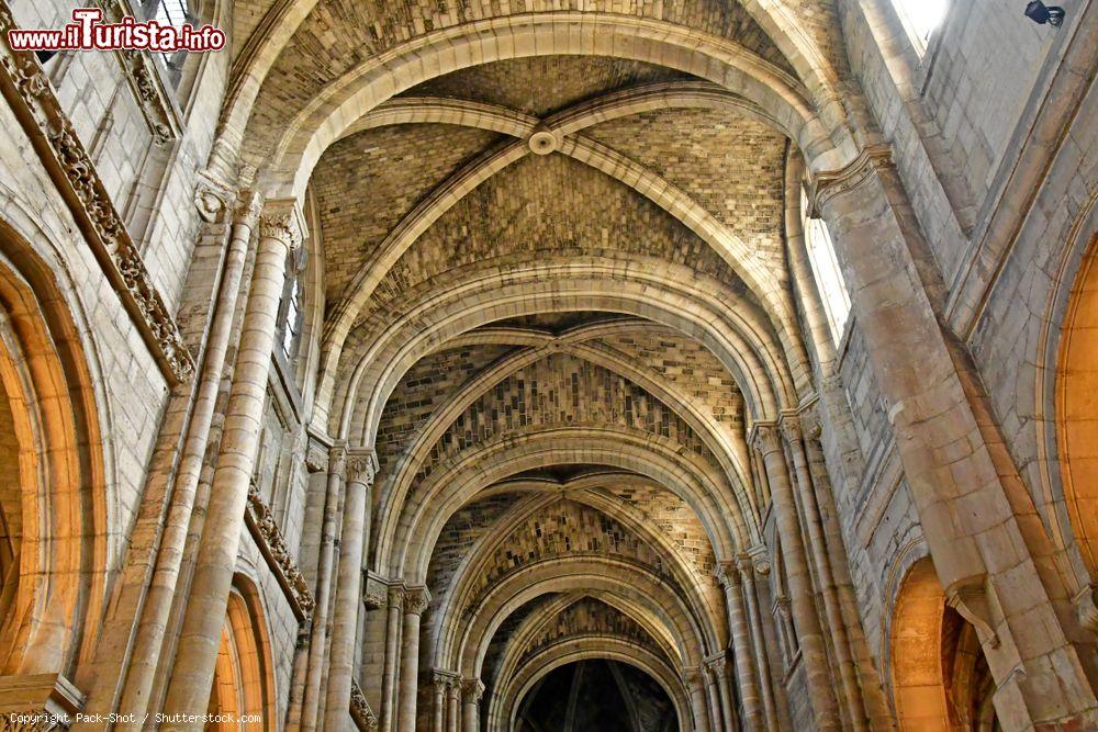 Immagine La volta della collegiata di Notre Dame di Poissy, Francia - © Pack-Shot / Shutterstock.com