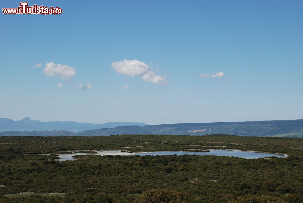 Immagine La zona umida di Pauli Maiori a Palmas Arborea e l'altopiano della Giara sullo sfondo