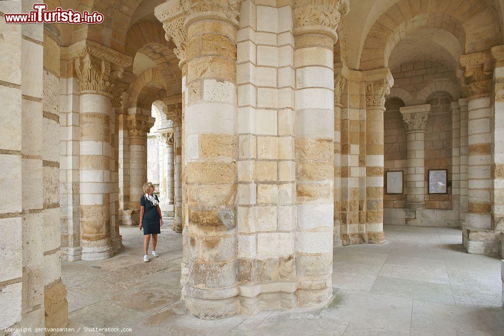 Immagine L'abbazia benedettina di Fleury a Saint-Benoit-sur-Loire in Francia: fondata nel 640 sorge sulle sponde del fiume Loira - © gertvansanten / Shutterstock.com