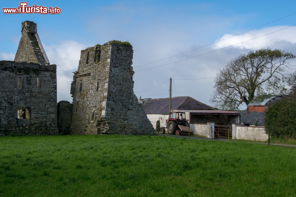 Immagine L'abbazia di Lislaughtin a Ballylongford, Irlanda: questo convento francescano di epoca medievale è considerato monumento nazionale situato nella contea di Kerry.