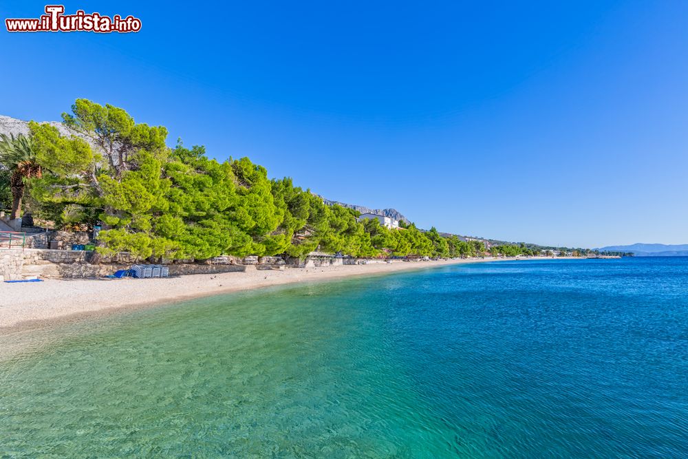 Immagine L'acqua cristallina del Mare Adriatico lambisce la costa di Tucepi, Croazia.