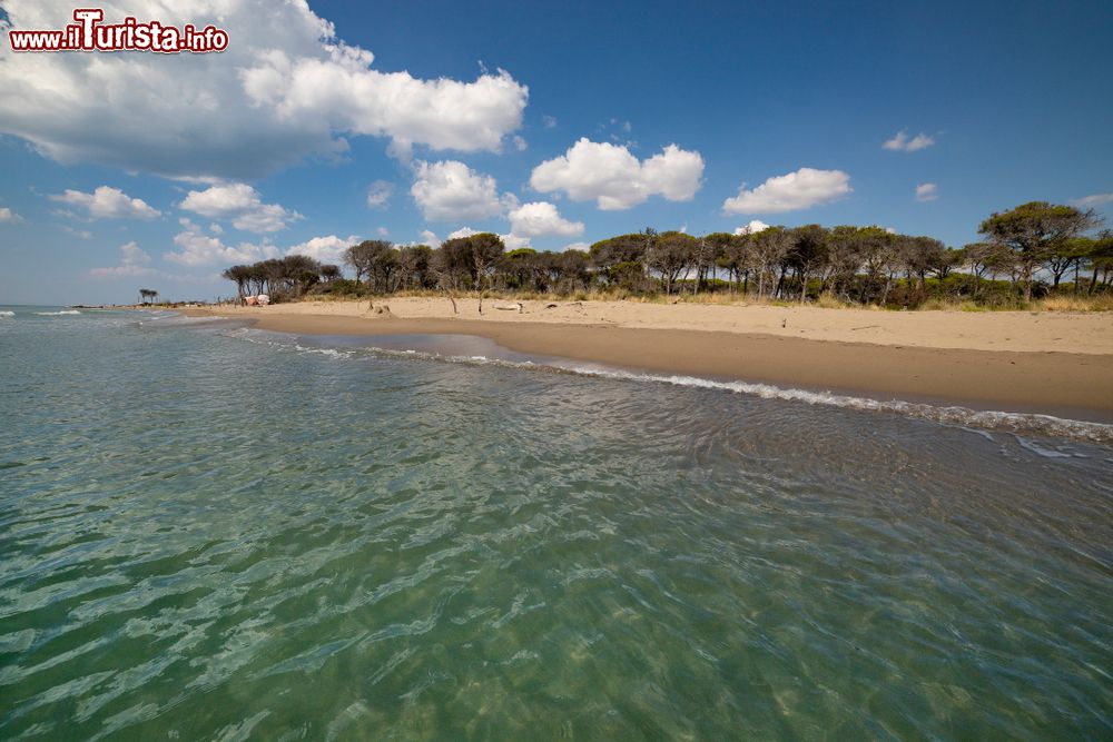 Immagine L'acqua pulita della spiaggia sabbiosa di Marina di Alberese, Maremma toscana