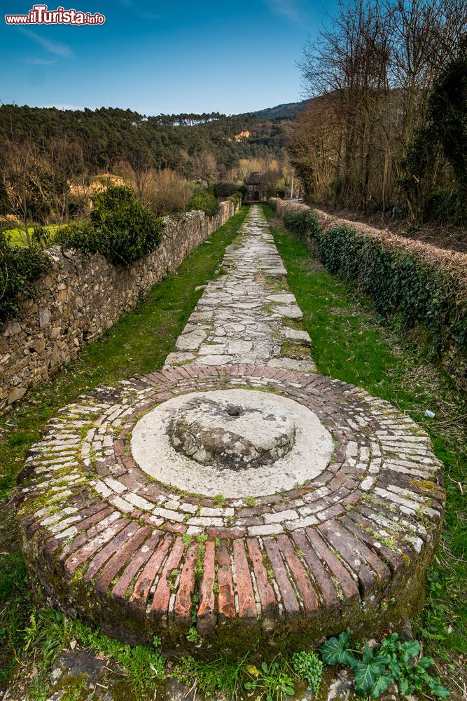 Immagine L'Acquedotto Nottolini a Lucca, Toscana. Una passeggiata nella natura a piedi o in bicicletta attraverso 4 chilometri lungo la Via Francigena.
