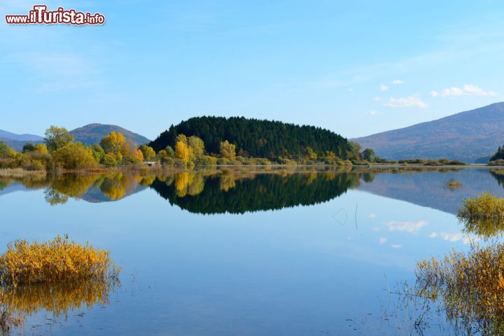 Immagine Lago intermittente di Cerknica, Slovenia - Cerknisko jezero, in sloveno, è il più grande lago intermittente del paese che da sempre attira turisti e visitatori per i suoi numerosi fenomeni naturali nonchè per la svariata flora e fauna: in primavera e nei periodi di pioggia si riempie di acqua offrendo anche l'opportunità di praticare vari sport e la pesca © Natalija Sahraj / Shutterstock.com