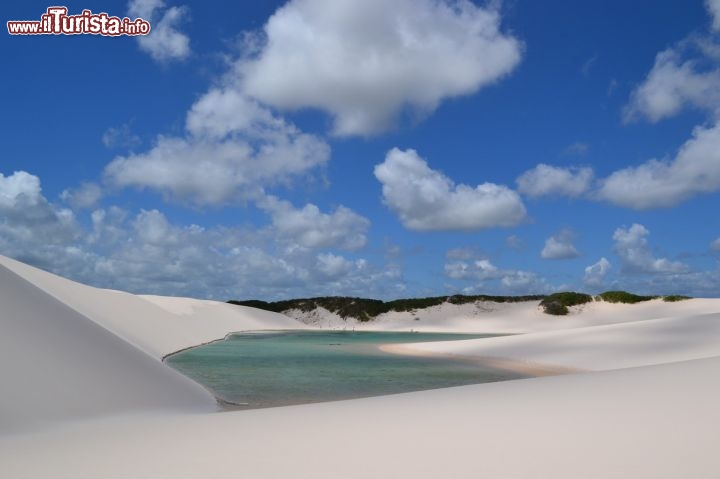 Immagine Lagoa Preguiças: all'interno del Parco Nazionale dei Lençois Maranhenses, (Stato di Maranhao, Brasile), al termine della stagione della piogge (circa a giugno) le conche tra le dune rimangono costellate di laghi effimeri che creano un paesaggio da favola.