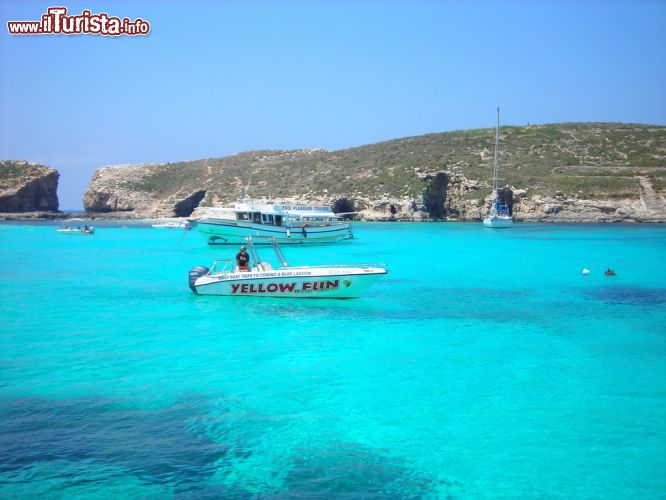 Immagine Laguna Blu di Comino, Malta - Altro nome non sarebbe più azzeccato. In questa immagine, l'azzurro intenso delle acque maltesi della Laguna Blu in cui tuffarsi per andare alla scoperta di un ricco fondale marino - © Jasmina976 / Shutterstock.com