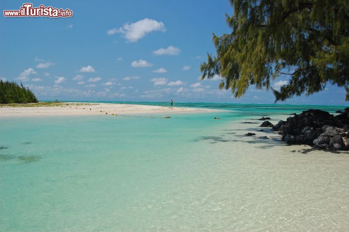 Immagine Acqua turchese dell'isola dei Cervi, Mauritius - Relax ma anche sport acquatici per i turisti che scelgono di trascorrere qualche giorno di vacanza su quest'isolotto famoso per le distese di sabbia di origine corallina. L'isola deve il suo nome all'antica presenza di un branco di cervi portati dagli olandesi per l'utilizzo nelle battute di caccia: ancora oggi è posisbile incontrarne alcuni esemplari allo stato brado © Pawel Kazmierczak / Shutterstock.com