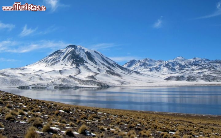 Immagine Lagunas miscanti y meniques non distante da San Pedro de Atacama in Cile - © yunning / Shutterstock.com